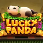 lucky panda